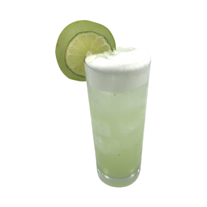 Apple Gin Fizz