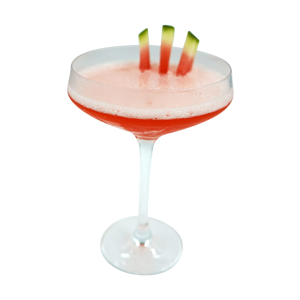 Watermelon Frosé