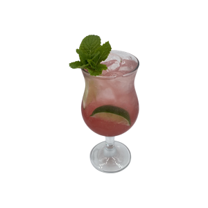 Cranberry Mojito